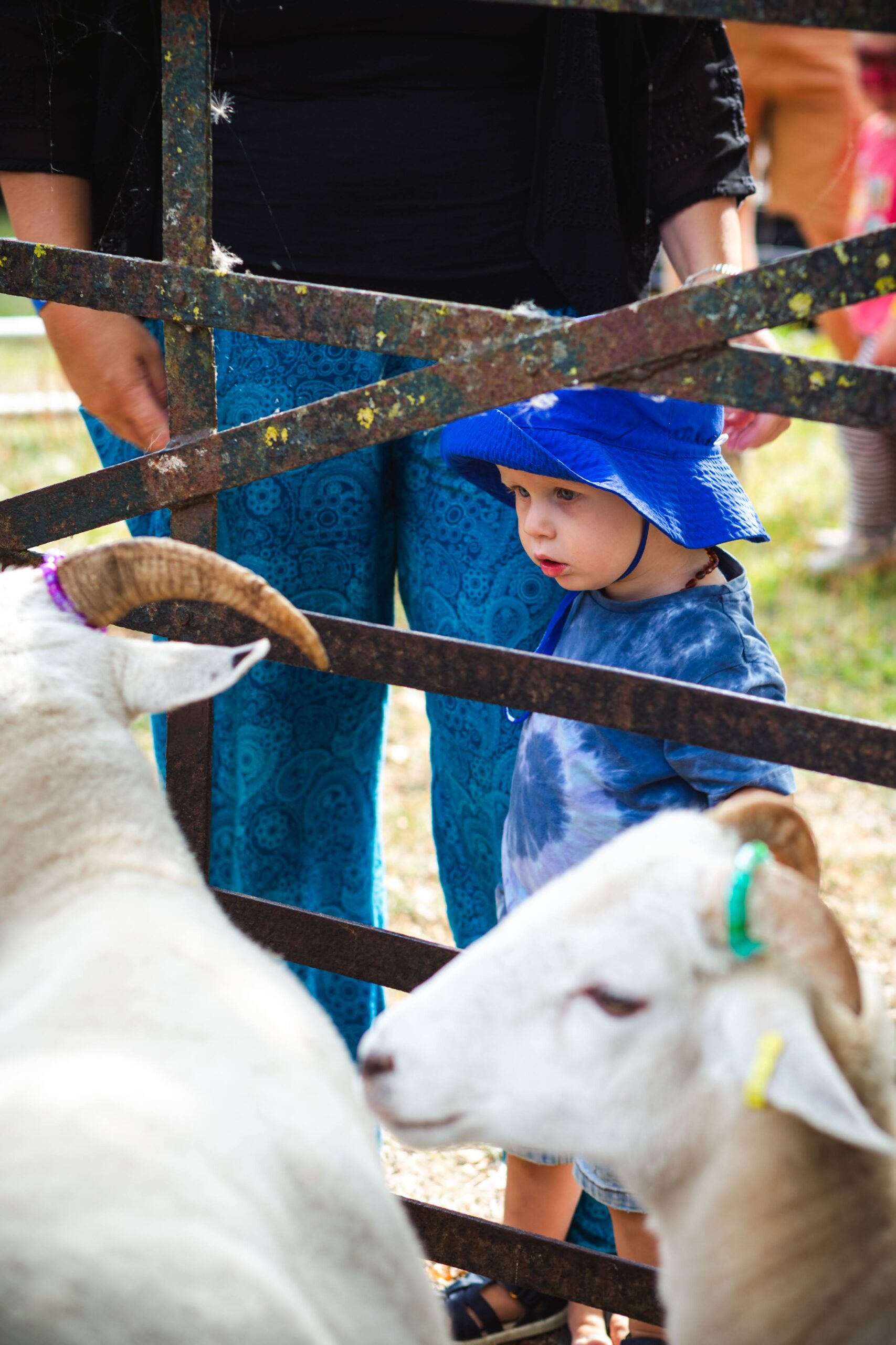 Farm Walk